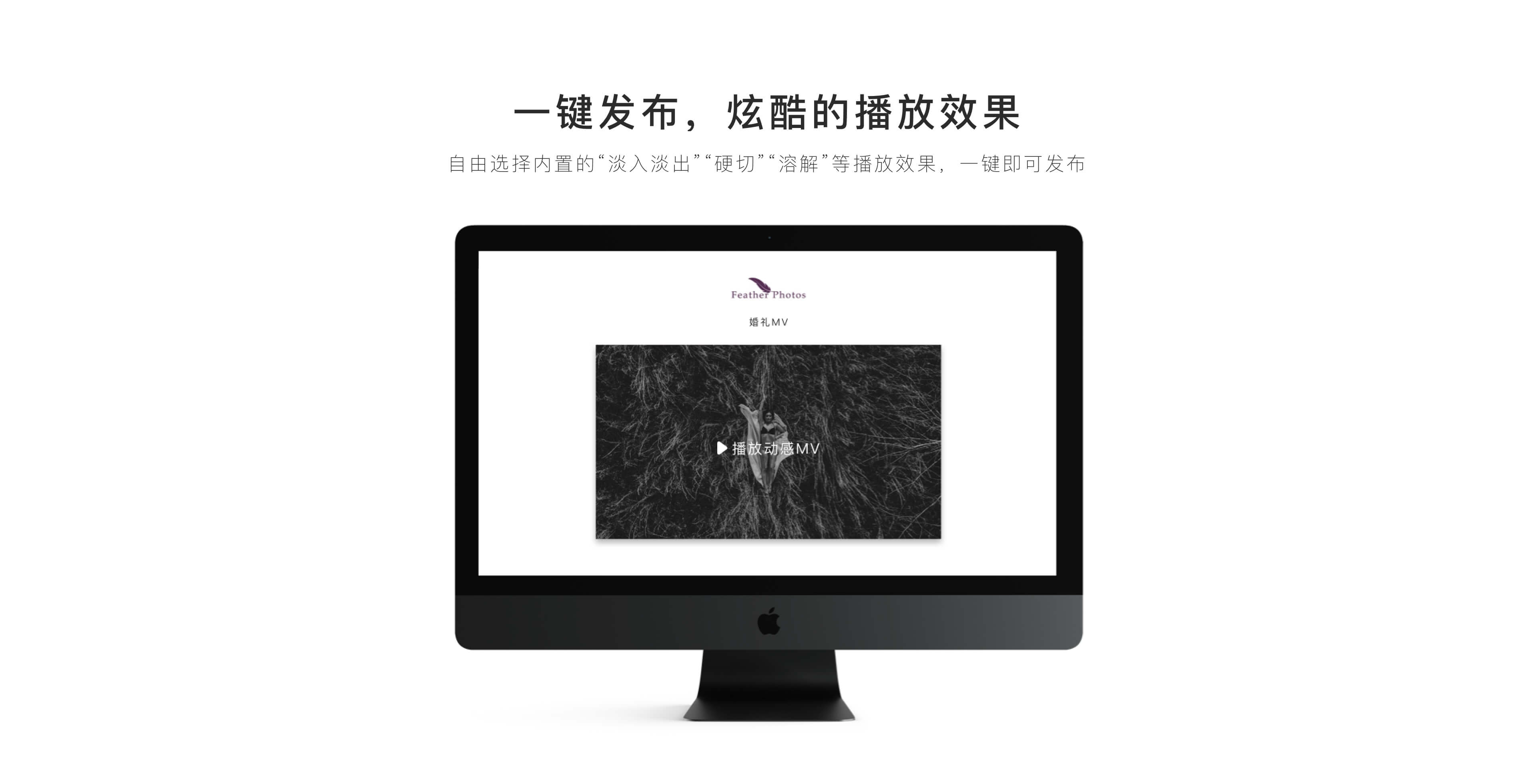 寸心动感MV效果